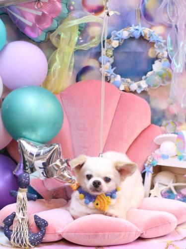 20240816風太くん